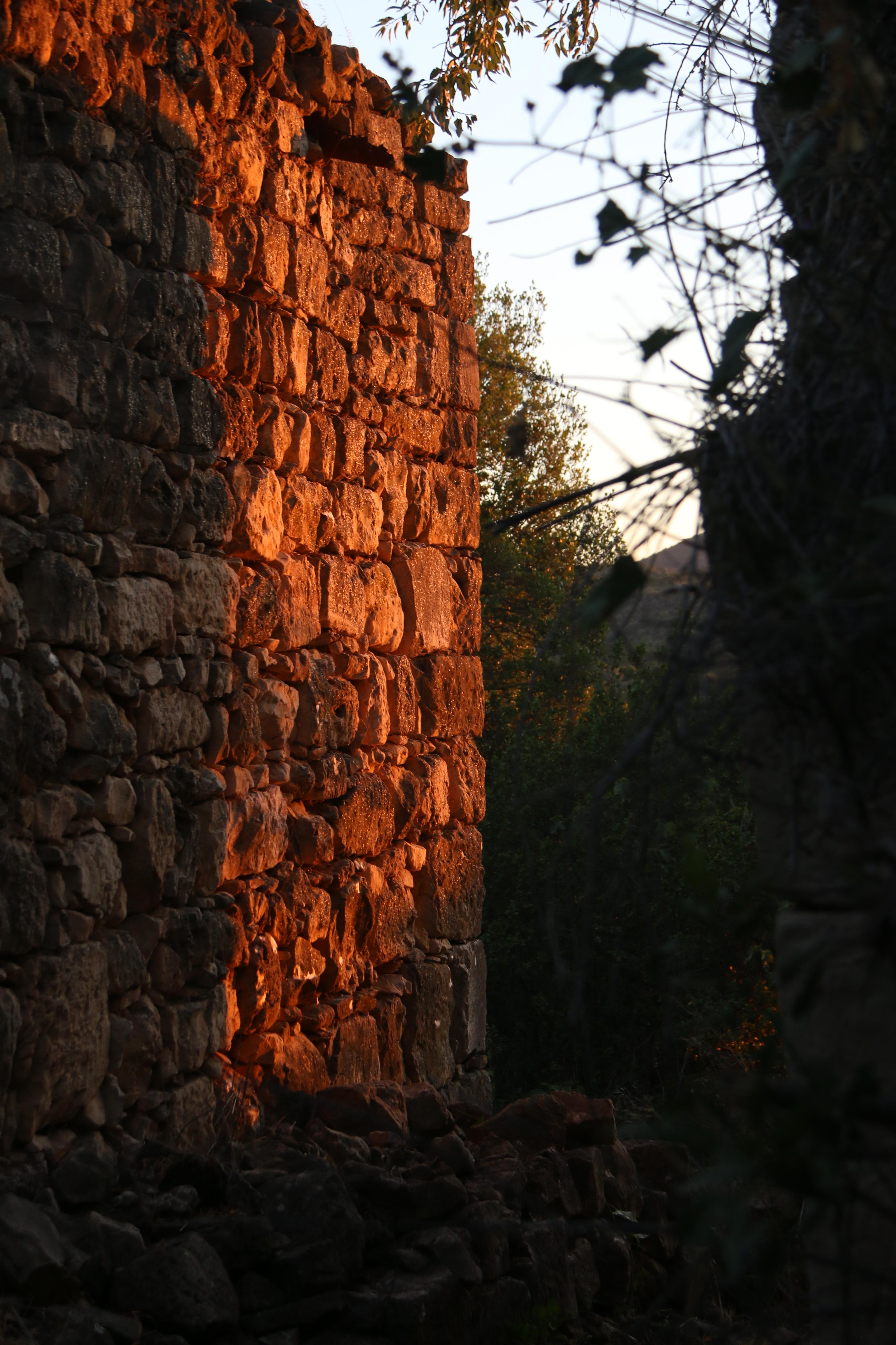 صورة من المخيم 3